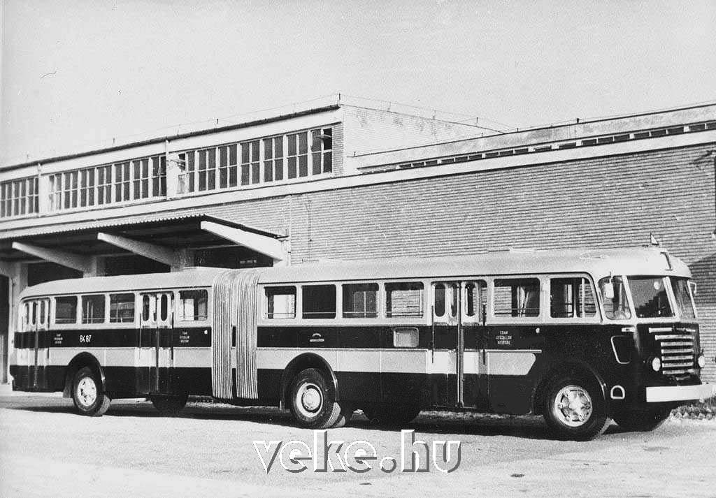 Ikarus (60 FAU) Gelenkbus 1959