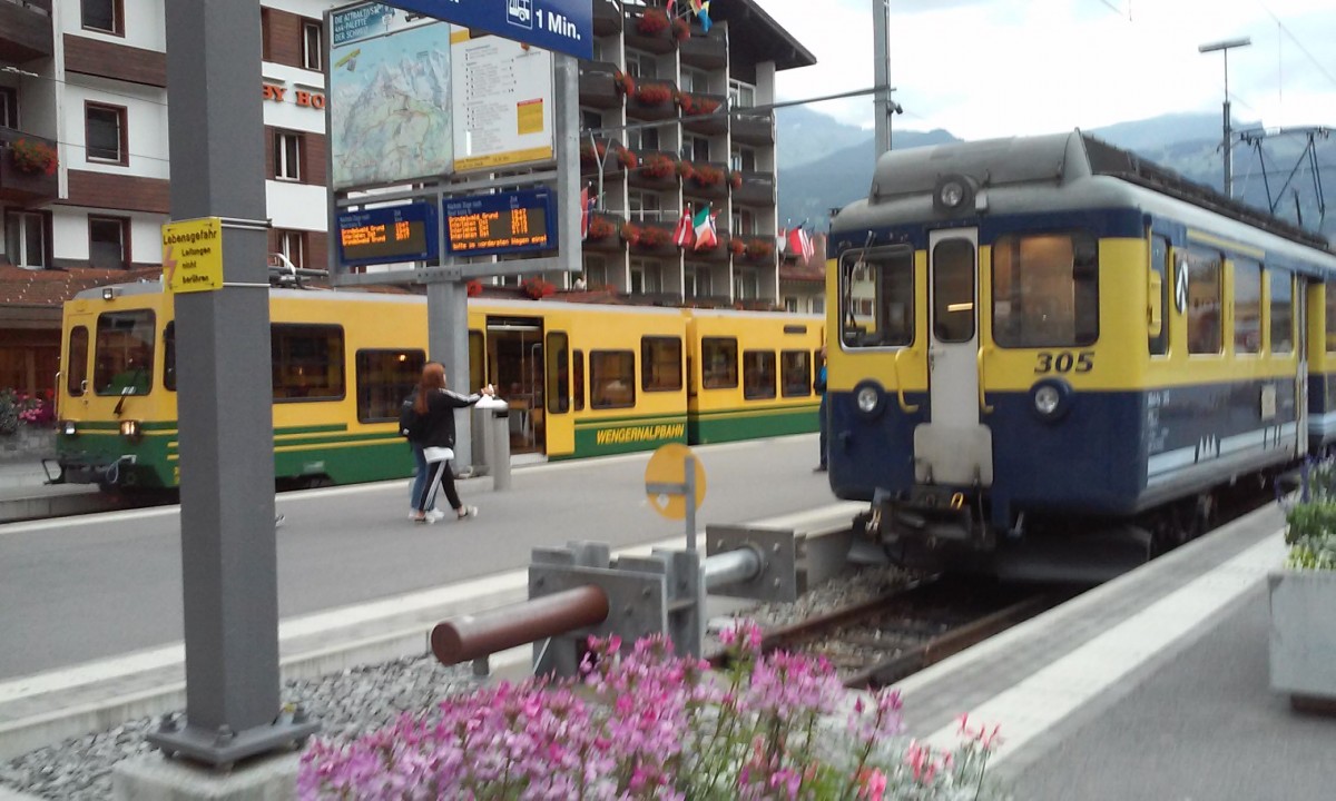 Wengernalpbahn und Berner-Oberland-Bahn im Bahnhof Grindelwald