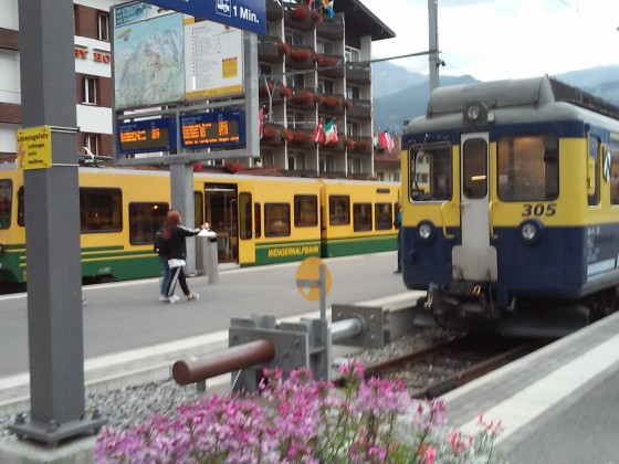 Wengernalpbahn und Berner-Oberland-Bahn im Bahnhof Grindelwald