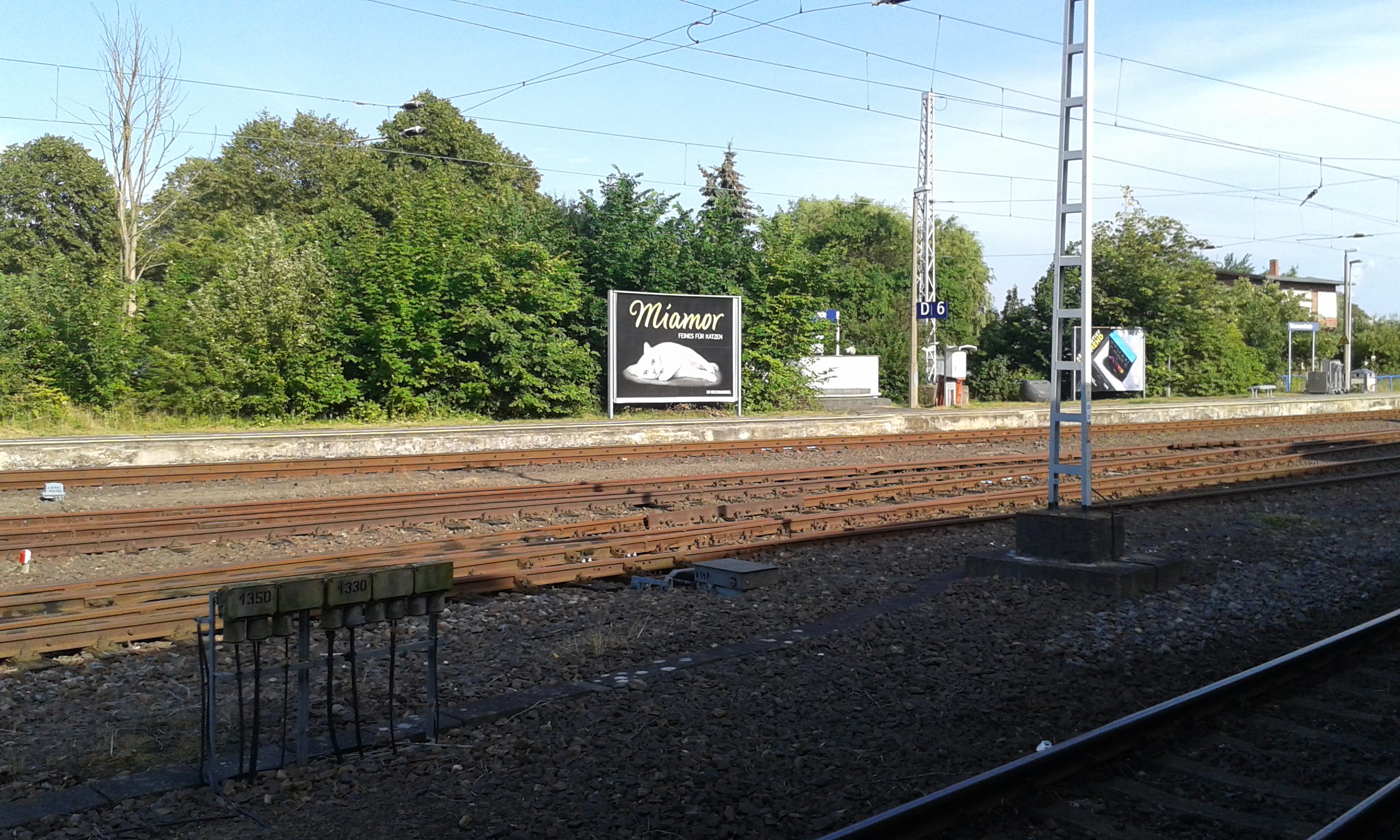 Stillgelegte Bahnanlagen in Warnemünde