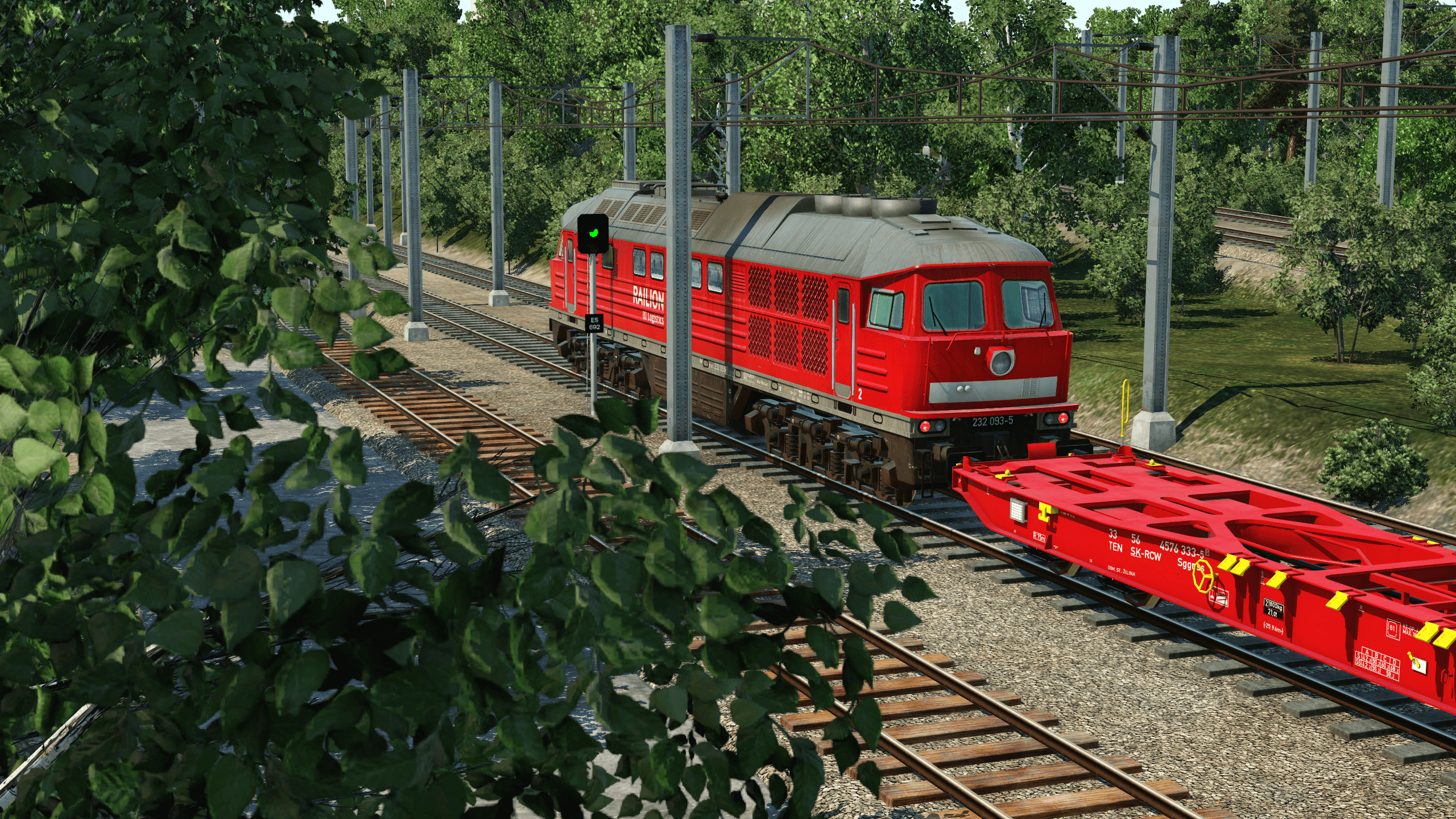 Empty Cargo Train outside Hirscheim