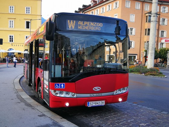 Die W zum Alpenzoo. (in welcher Stadt steht dieser Bus?)