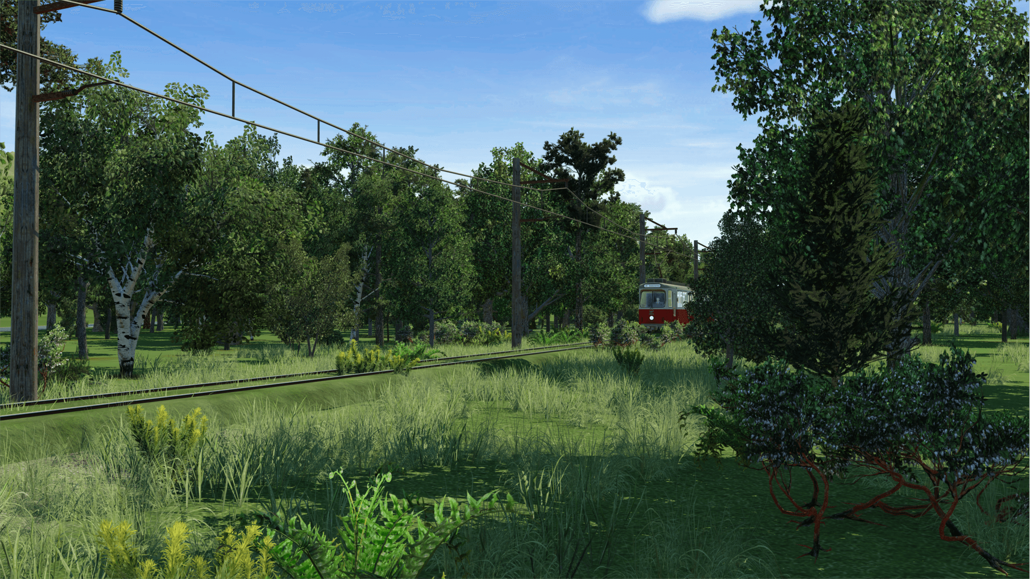 Kleine Nebenbahn 1.