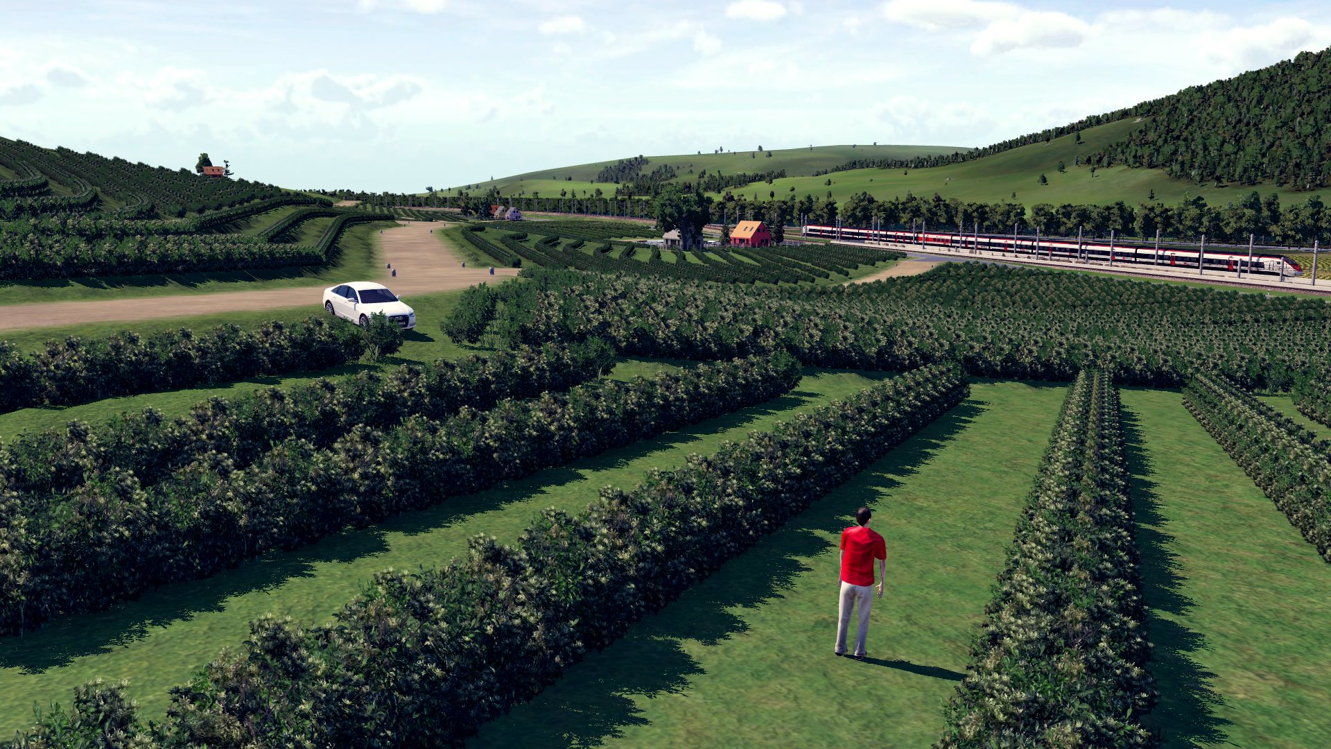 Trainspotting on the wine field