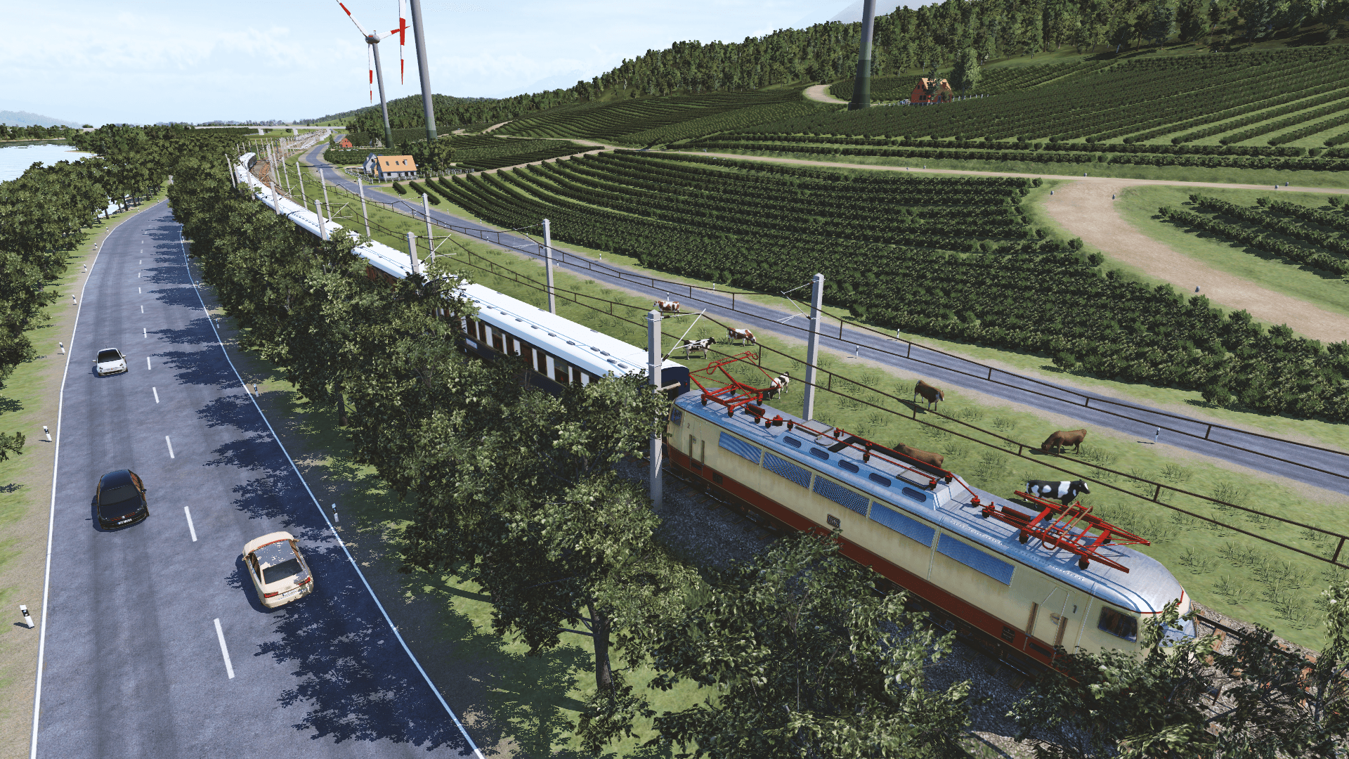 Orient express and the grape hill