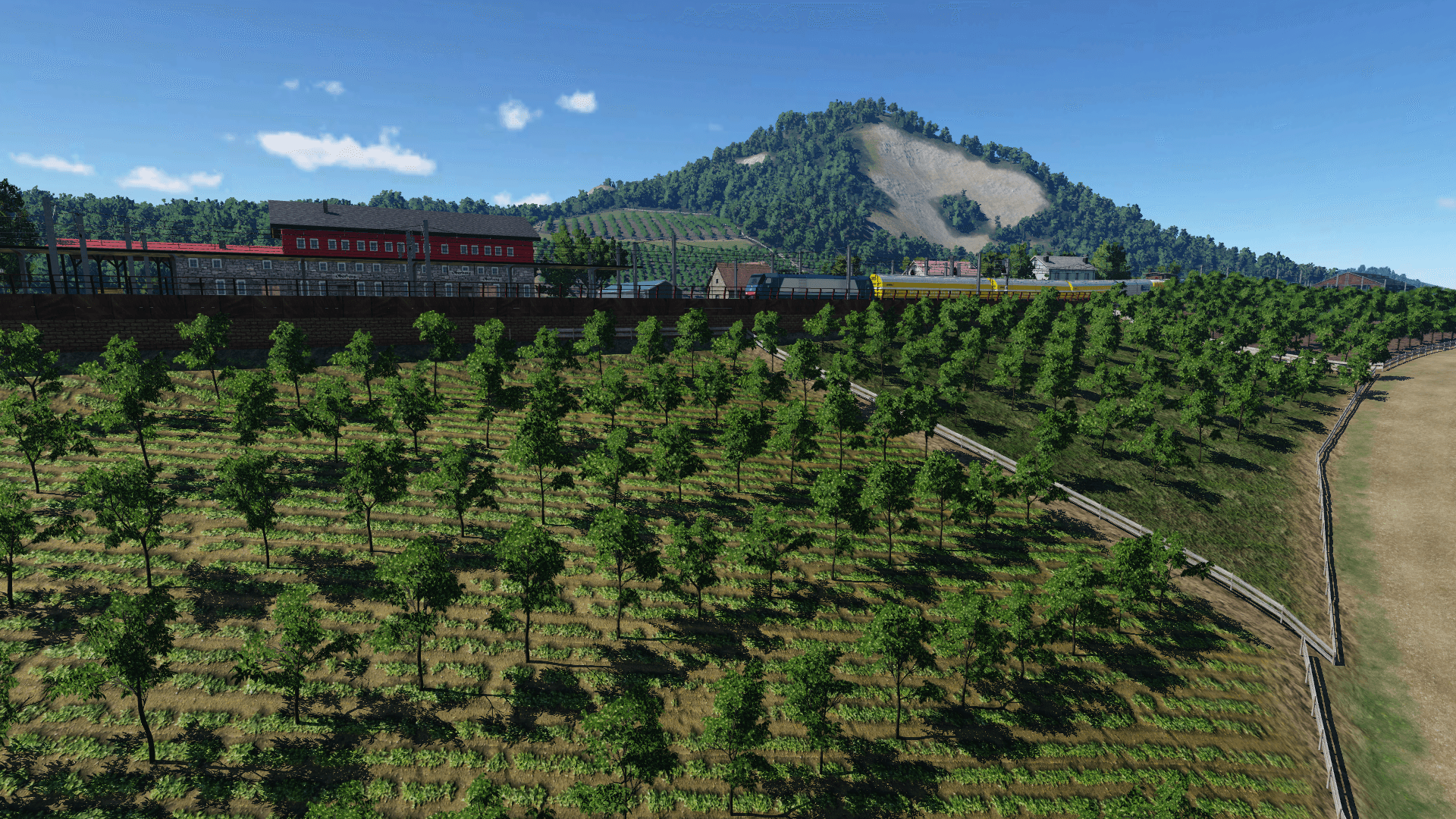 Bella Italia