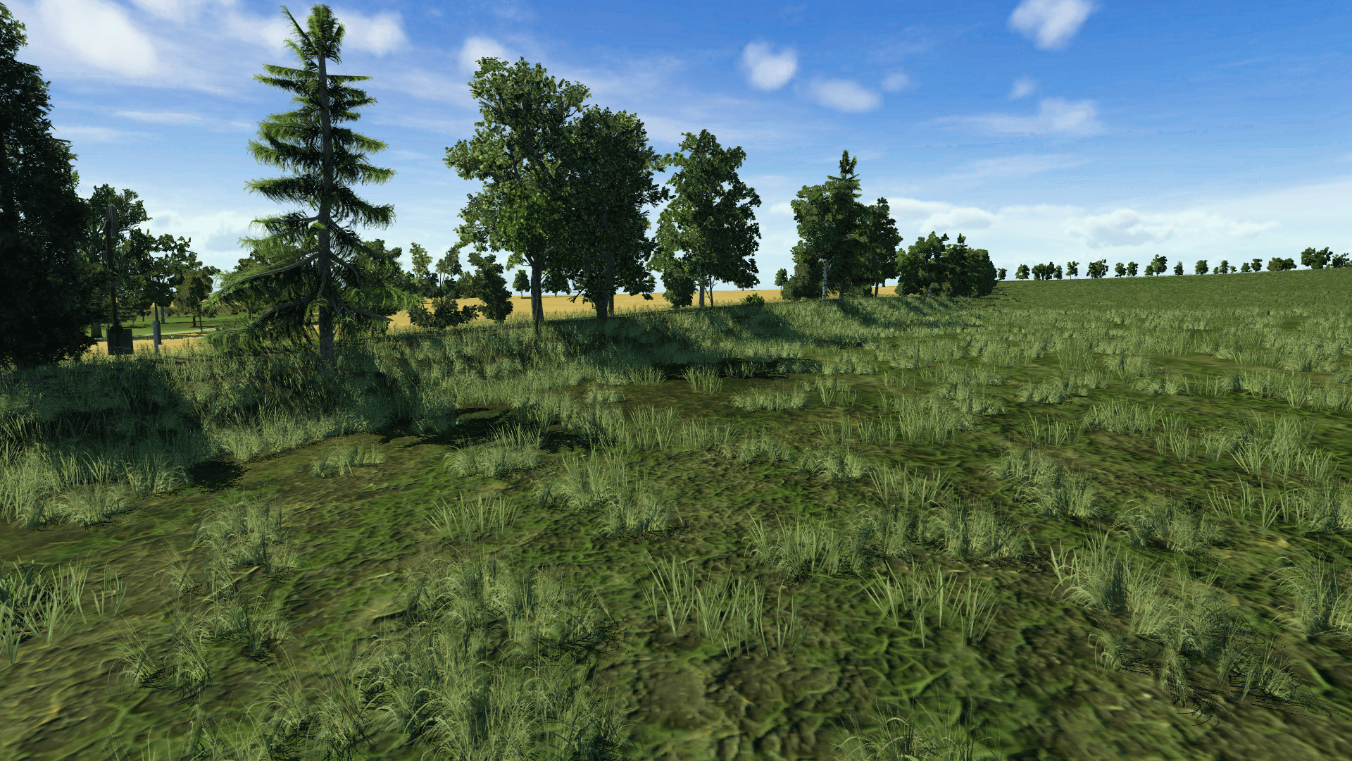 Auf´m Feld
