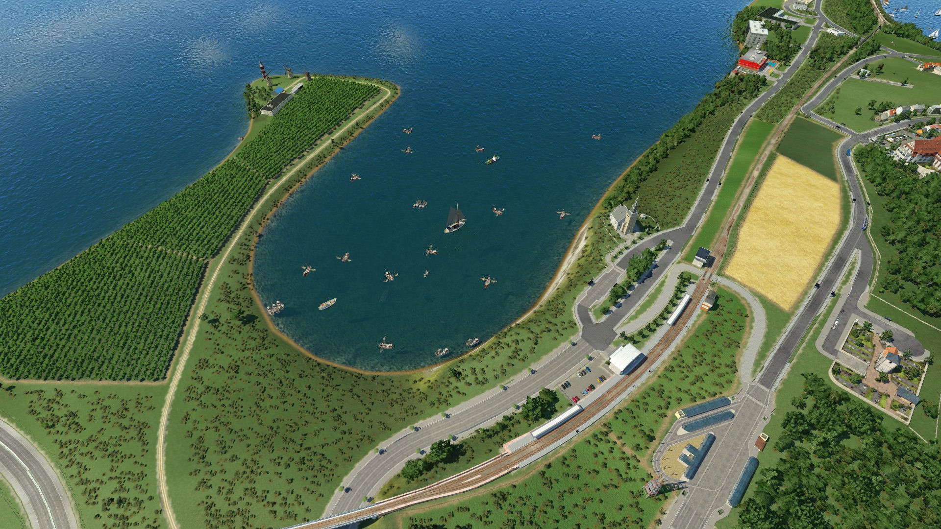 Sardellen Schwarm in der Bucht gesichtet