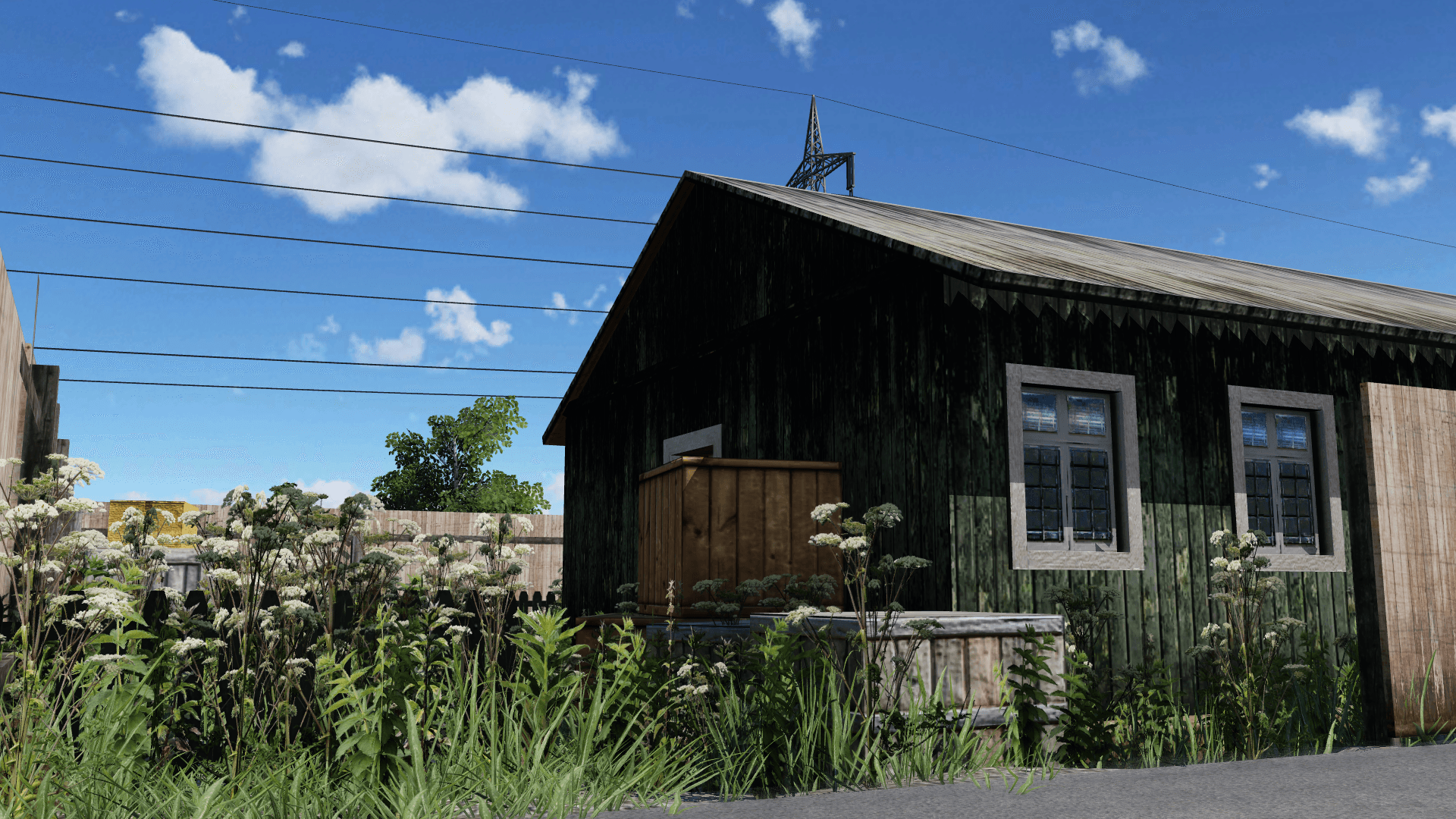 Shed