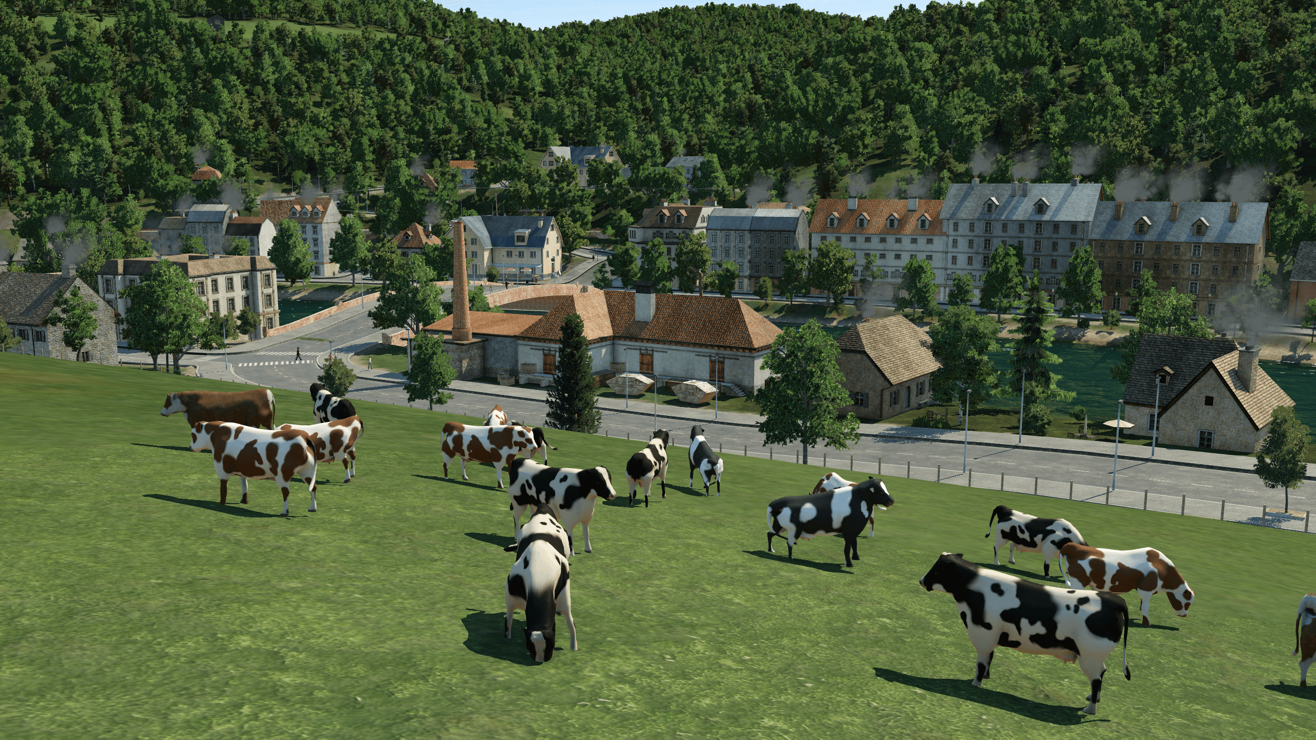 Alsbach wip 5