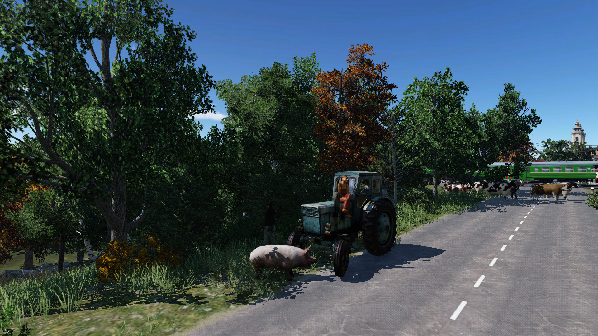 On the side of the road.