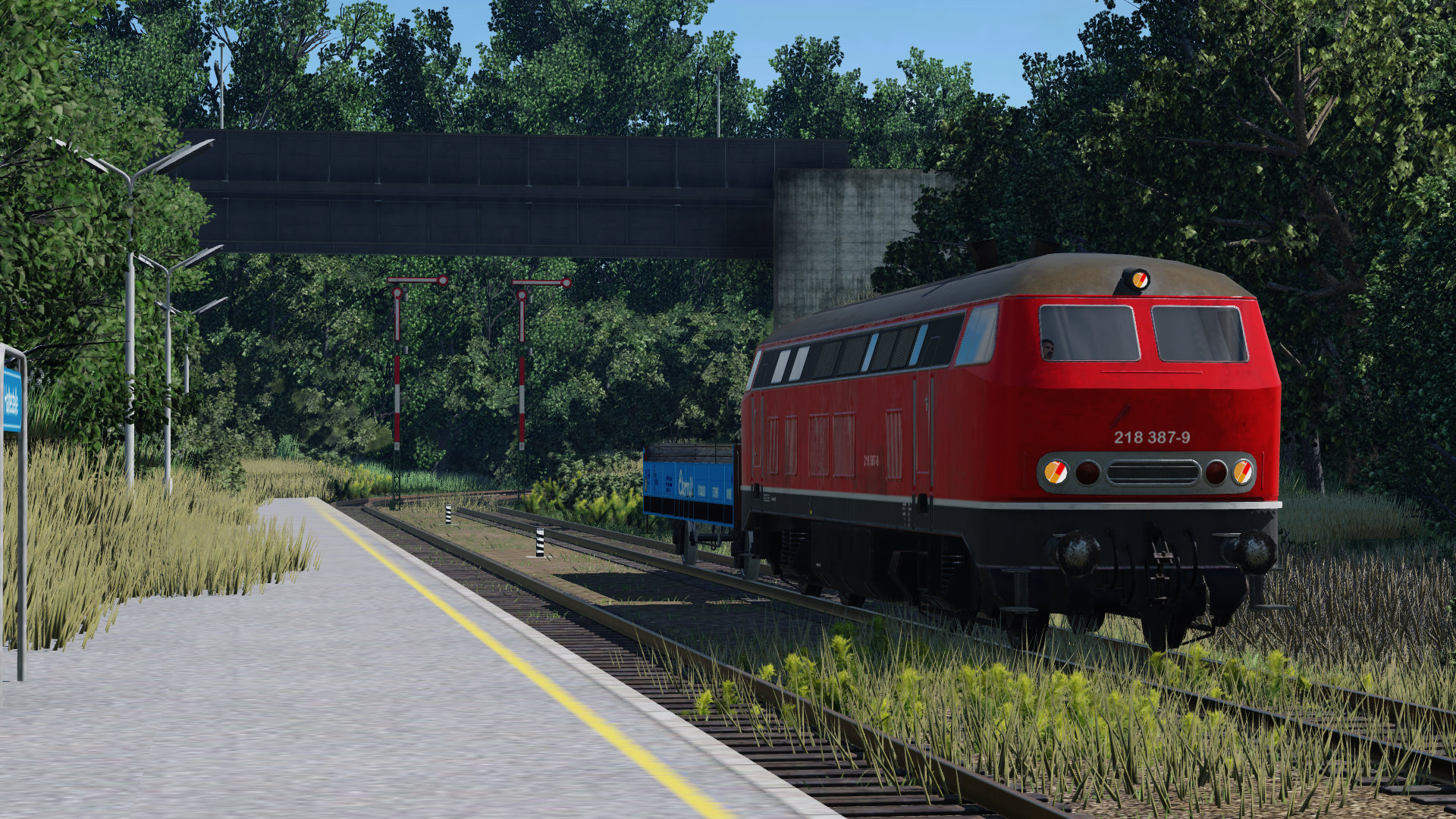 BR218 at the abandoned station