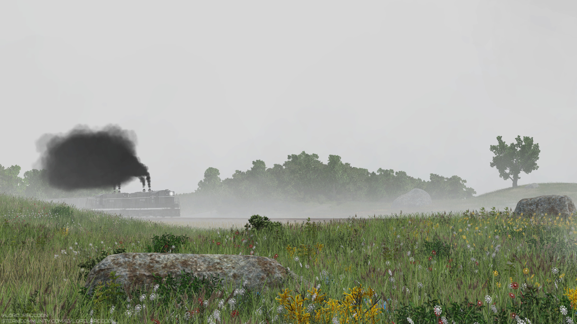 Run in the morning fog