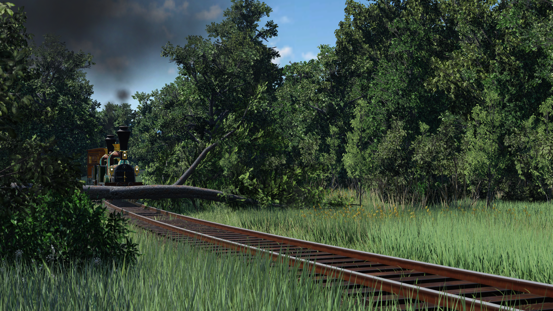 A fallen tree on the railway