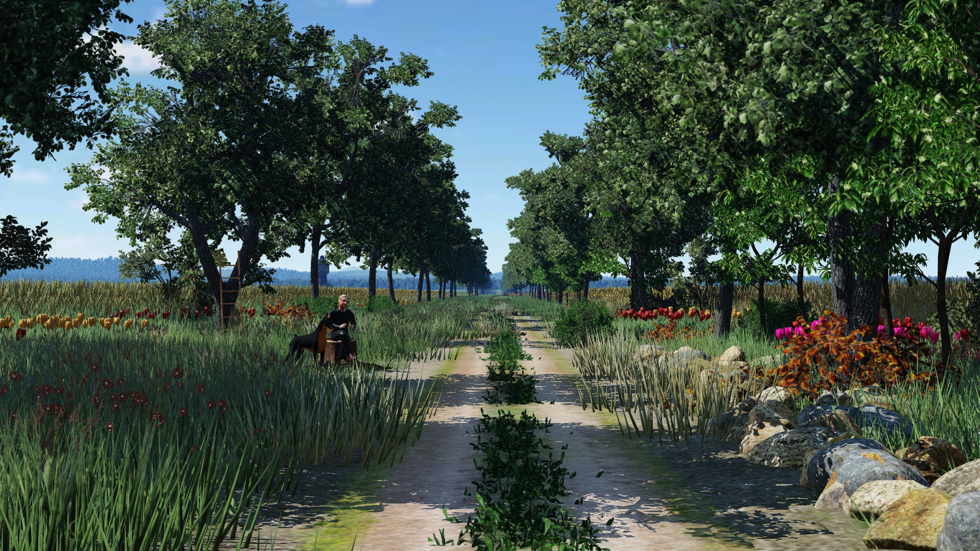 A road to the horizon...