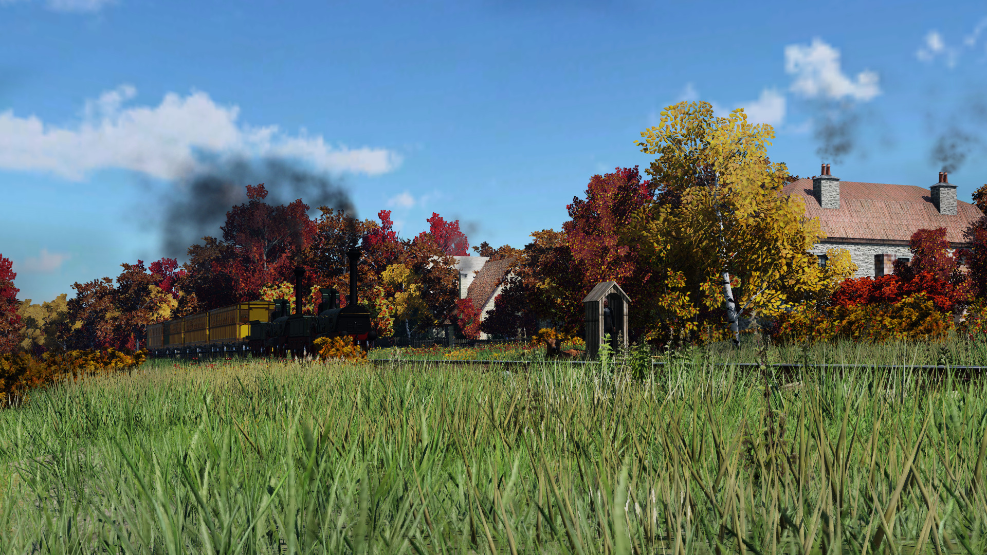 Autumn...