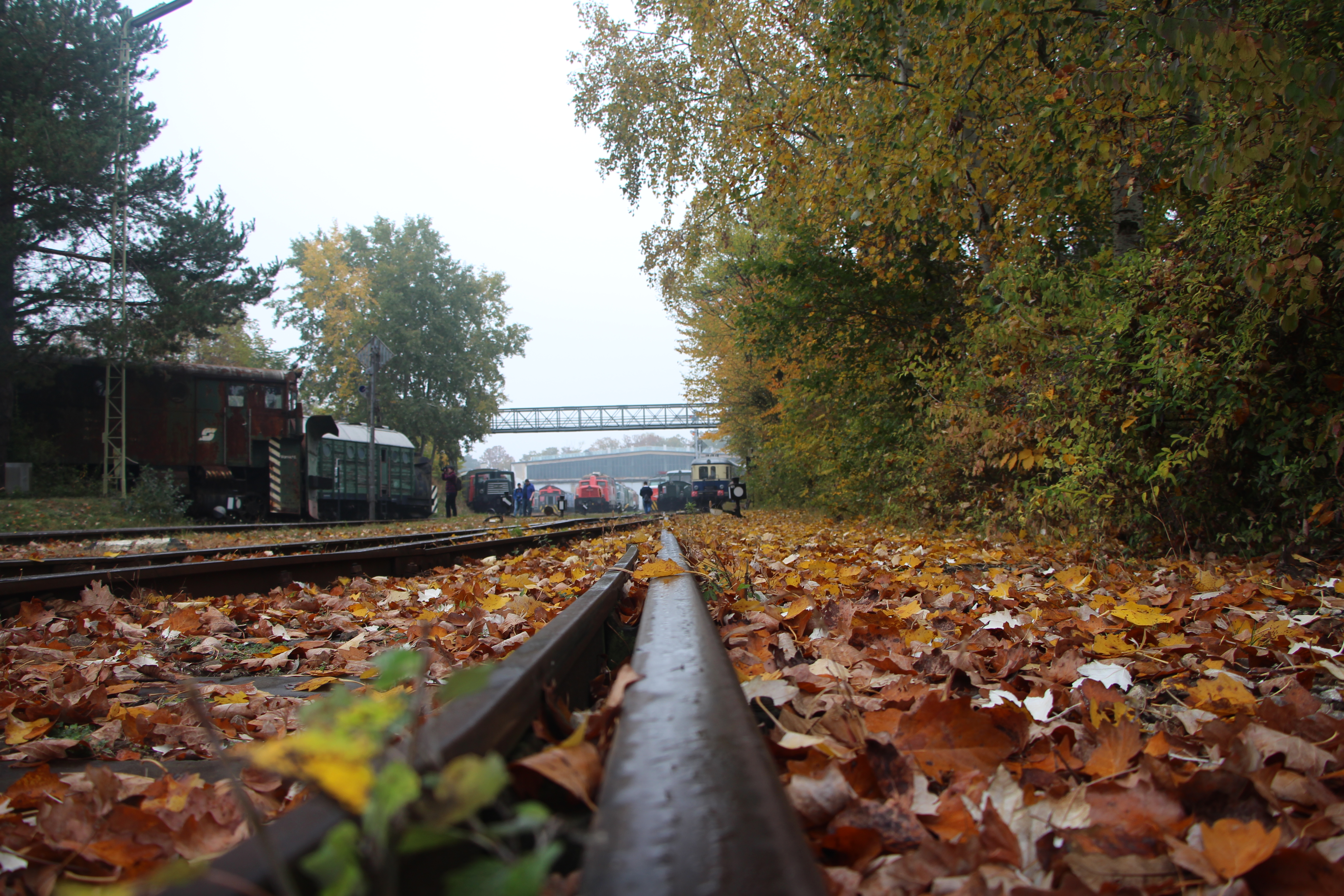 CT-Wien