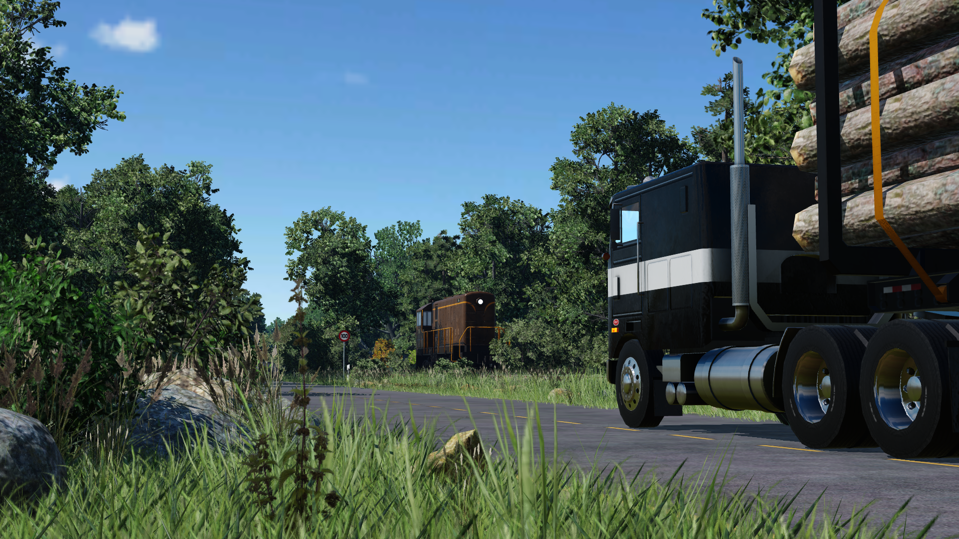 Half-abandoned railway