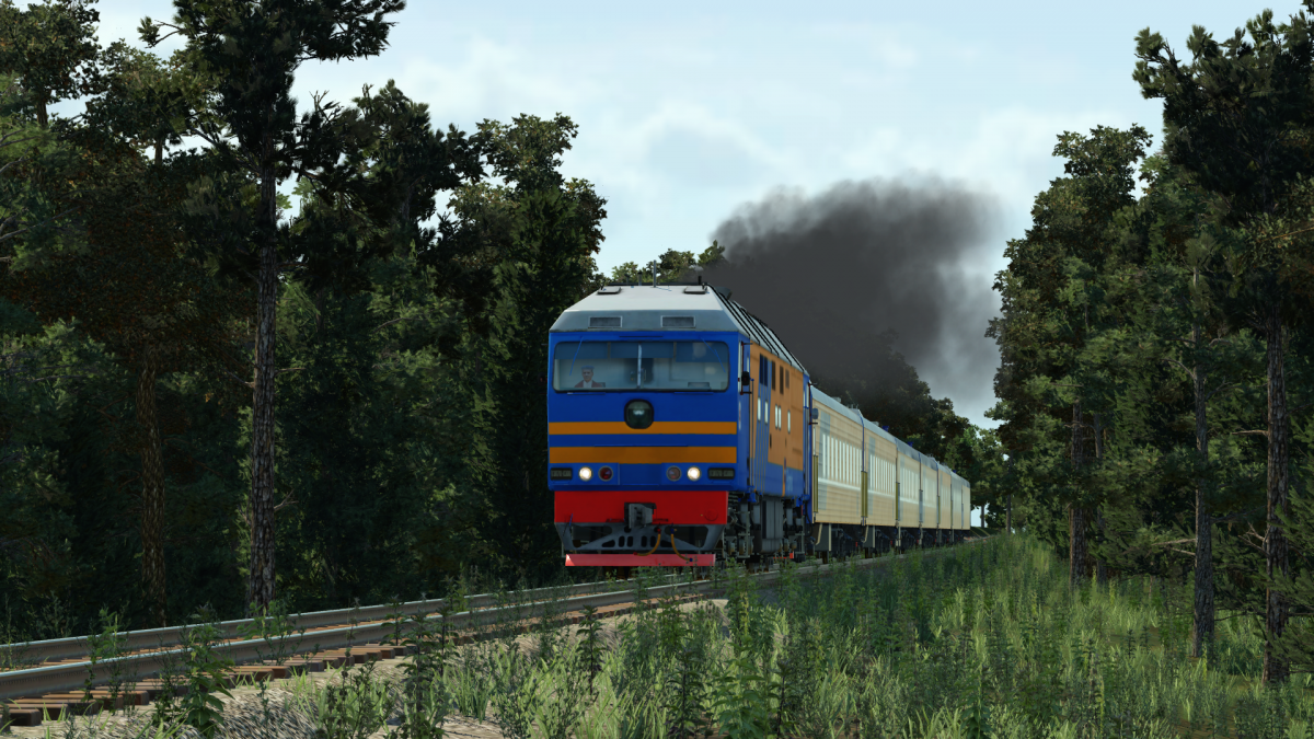 TEP70 going through woods