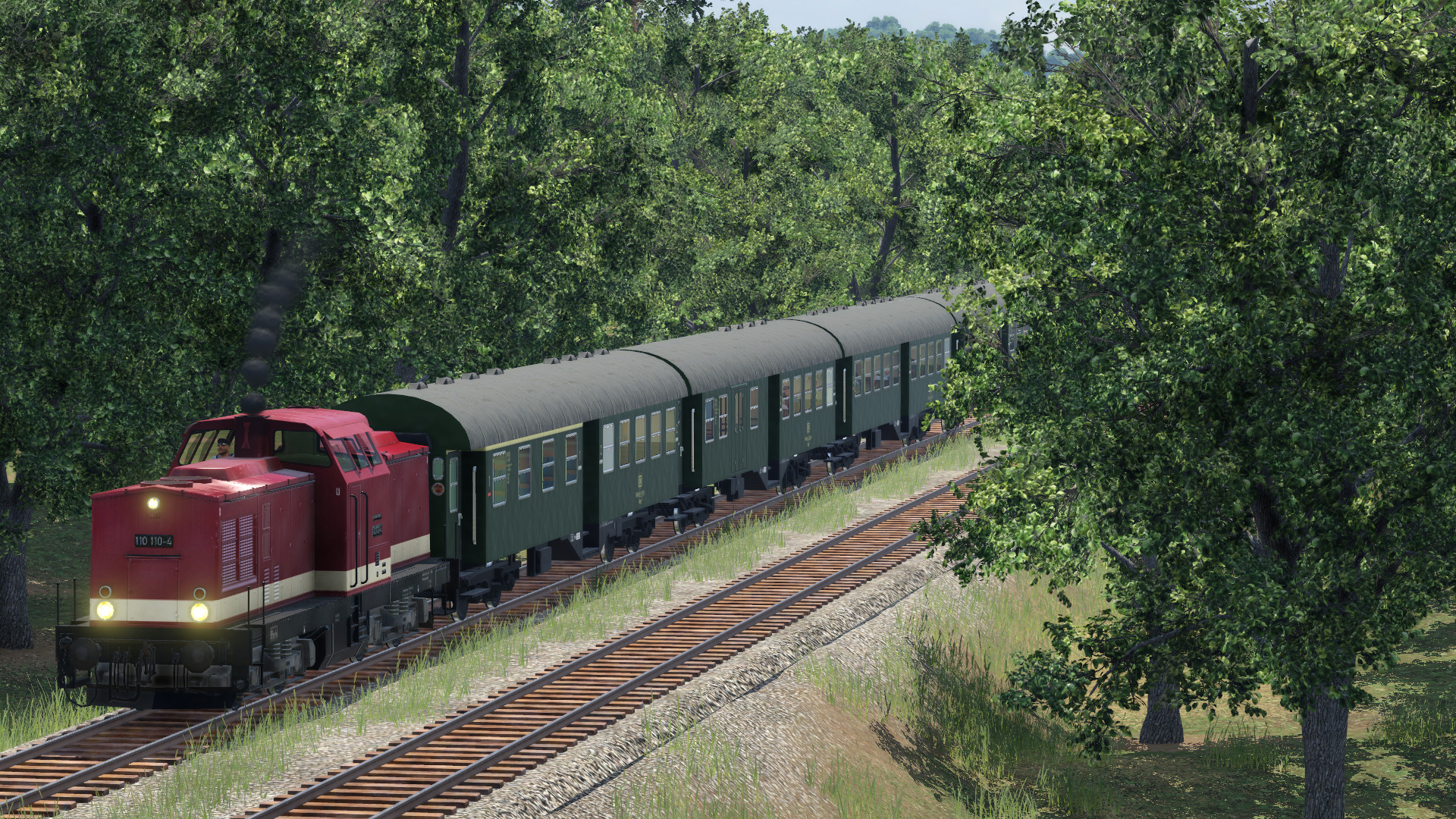 Regional train in the woods
