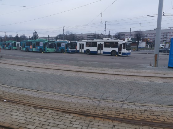 Busse Kaliningrad