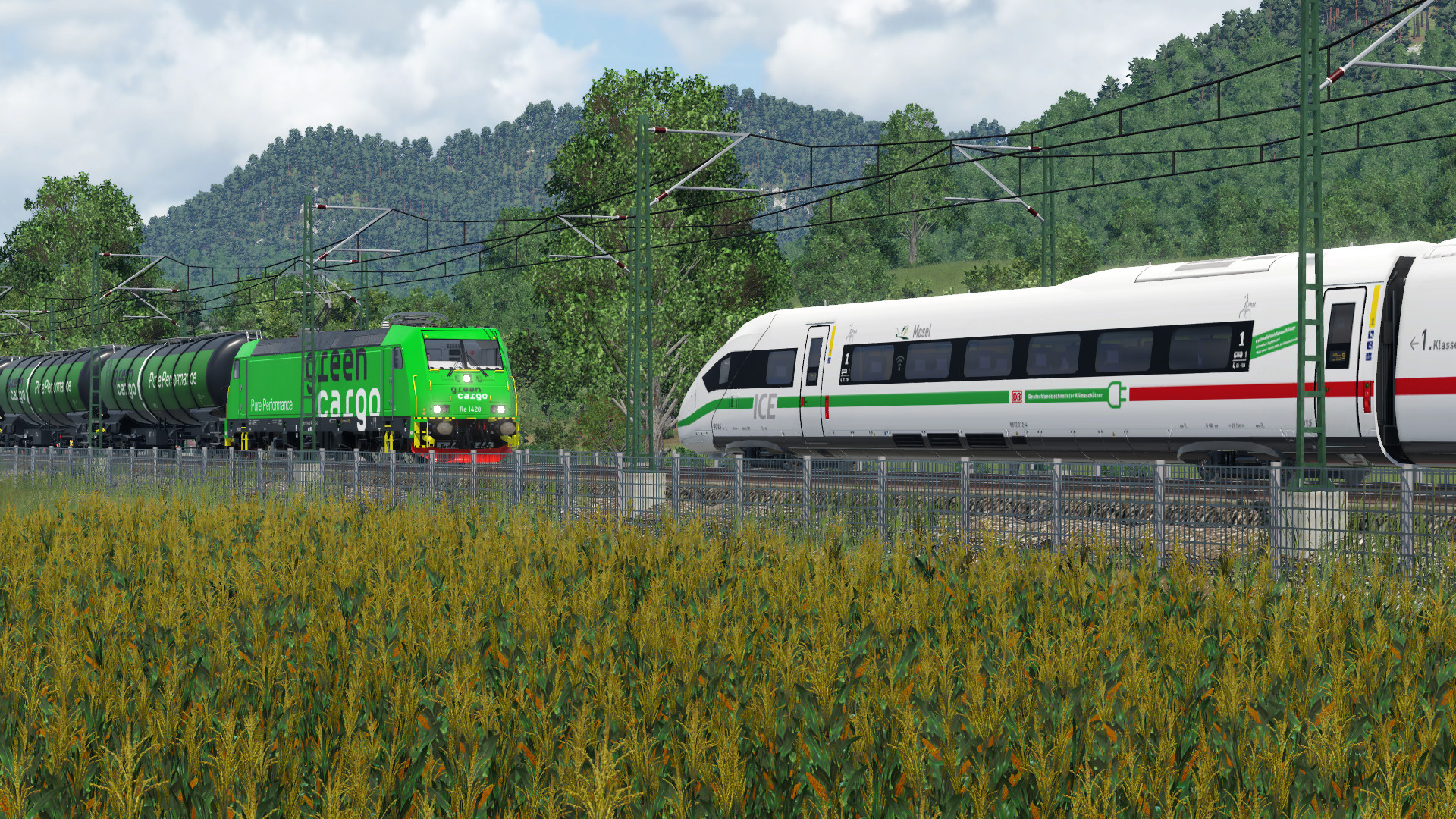 GO Green!