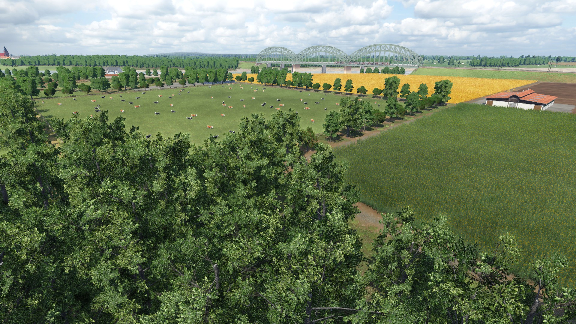 Fields 2
