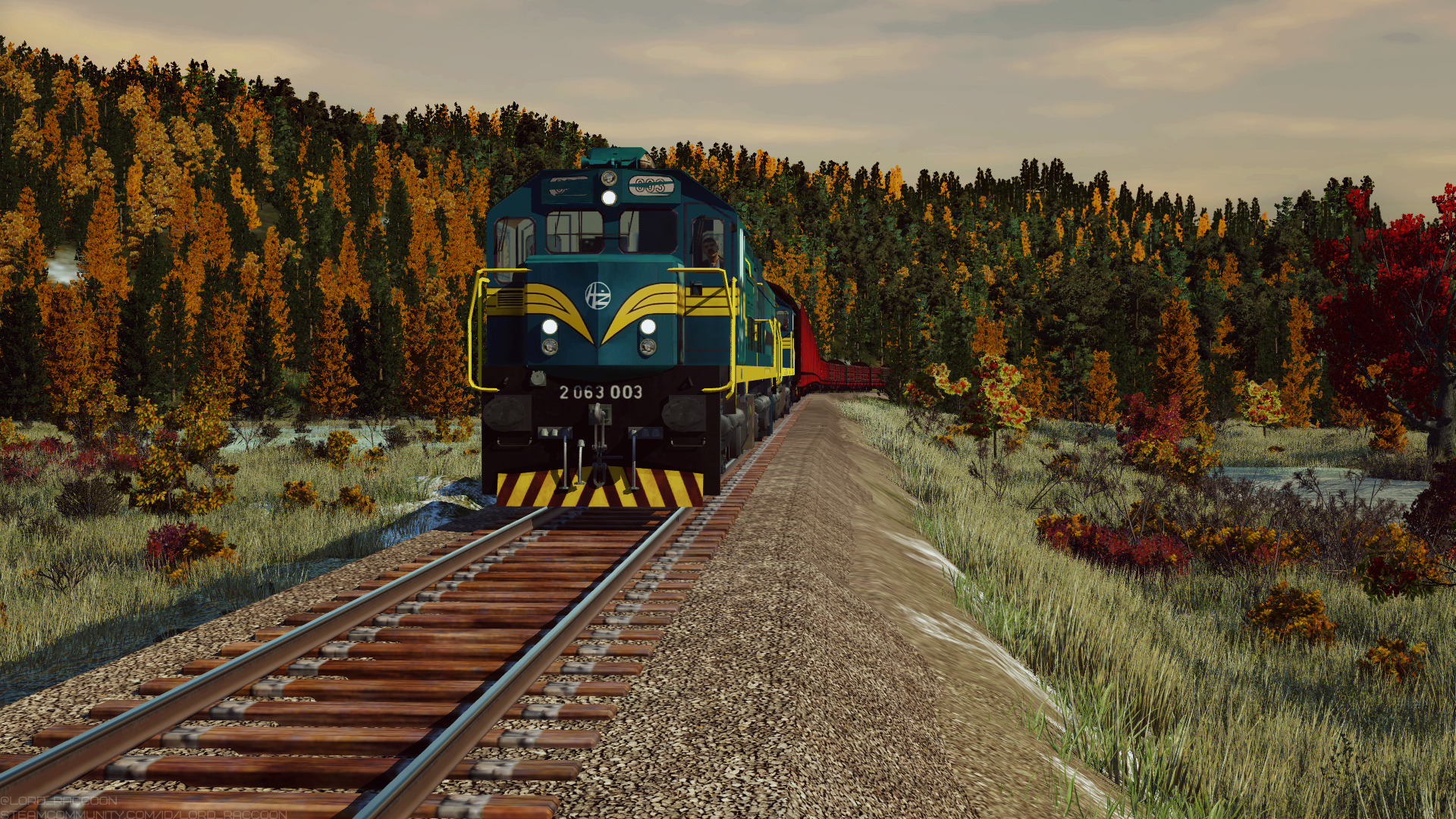 HZ 2063 in the late autumn forest