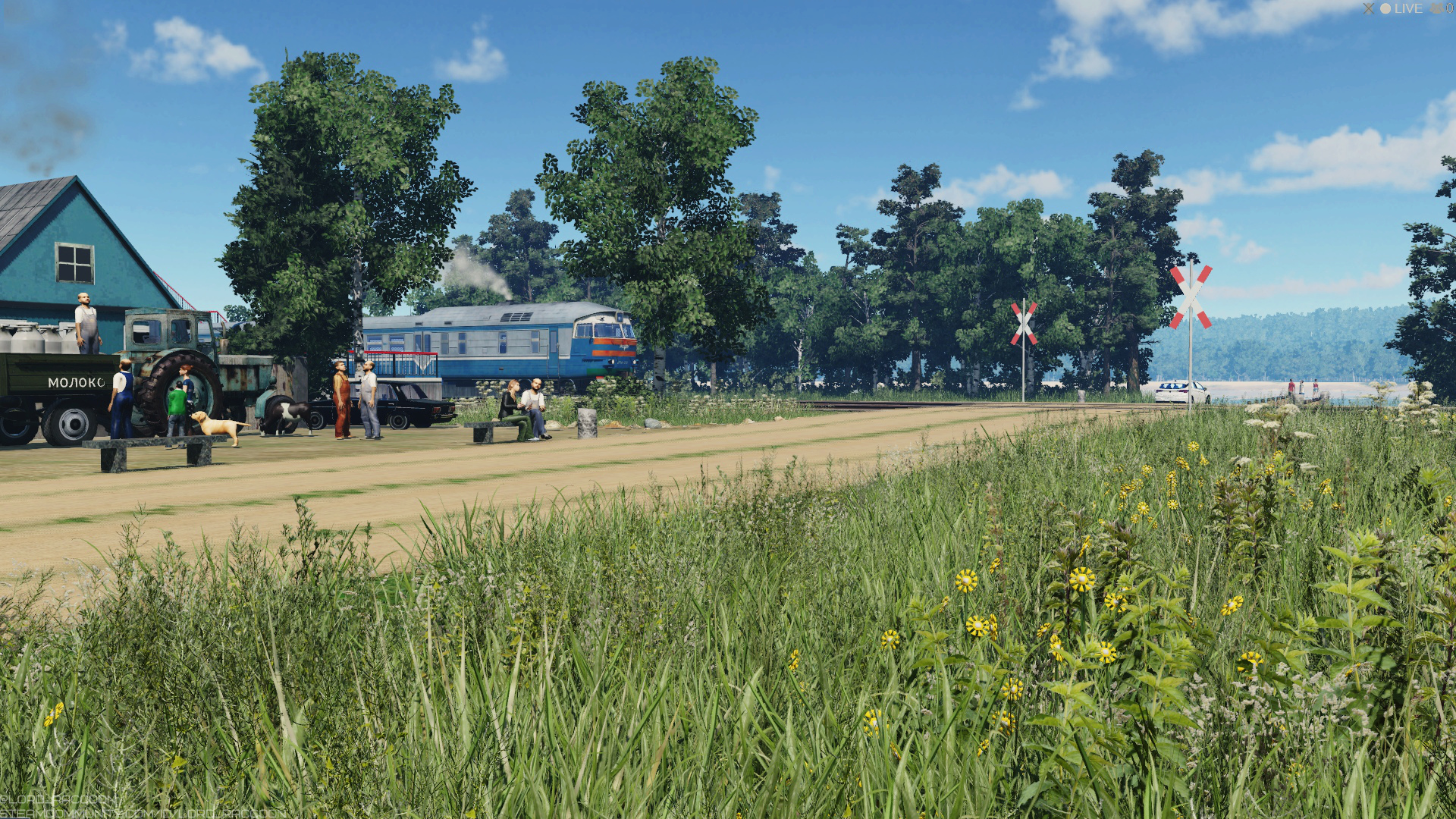 DR1A near the village