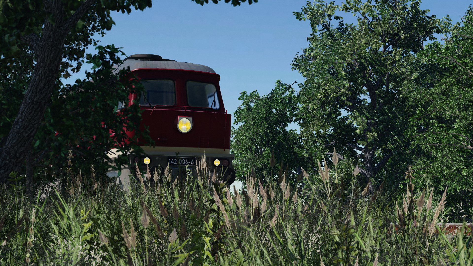 BR-142 rides in the forest.