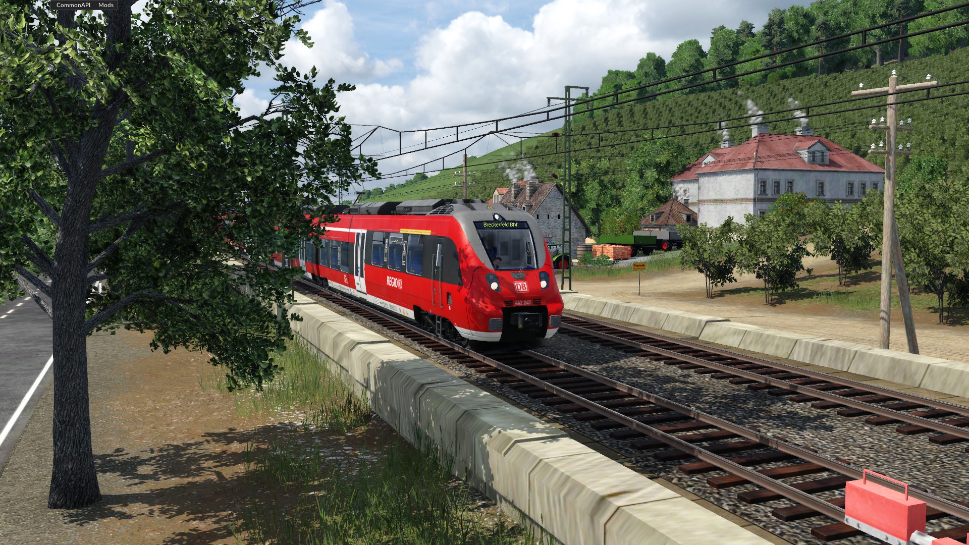 Weinhang mit BR442