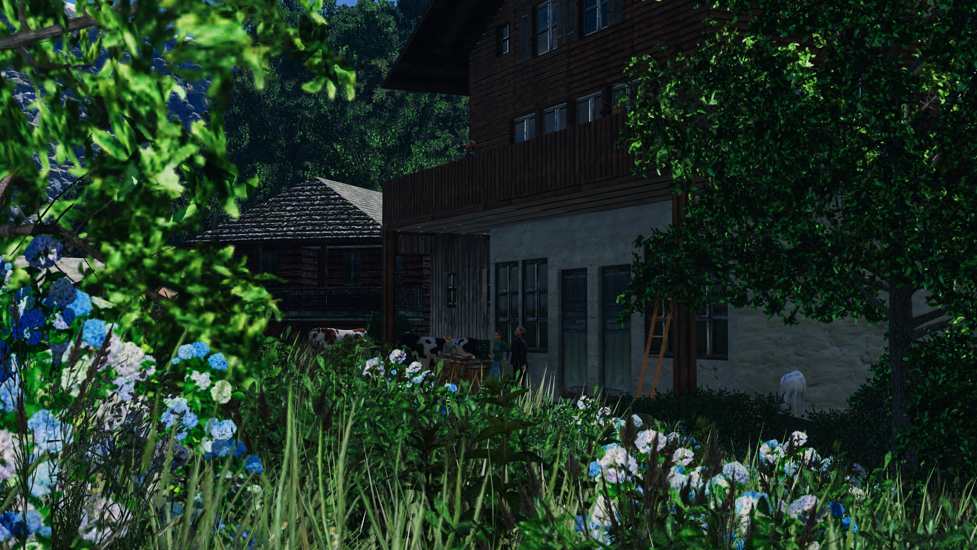 Alpine village