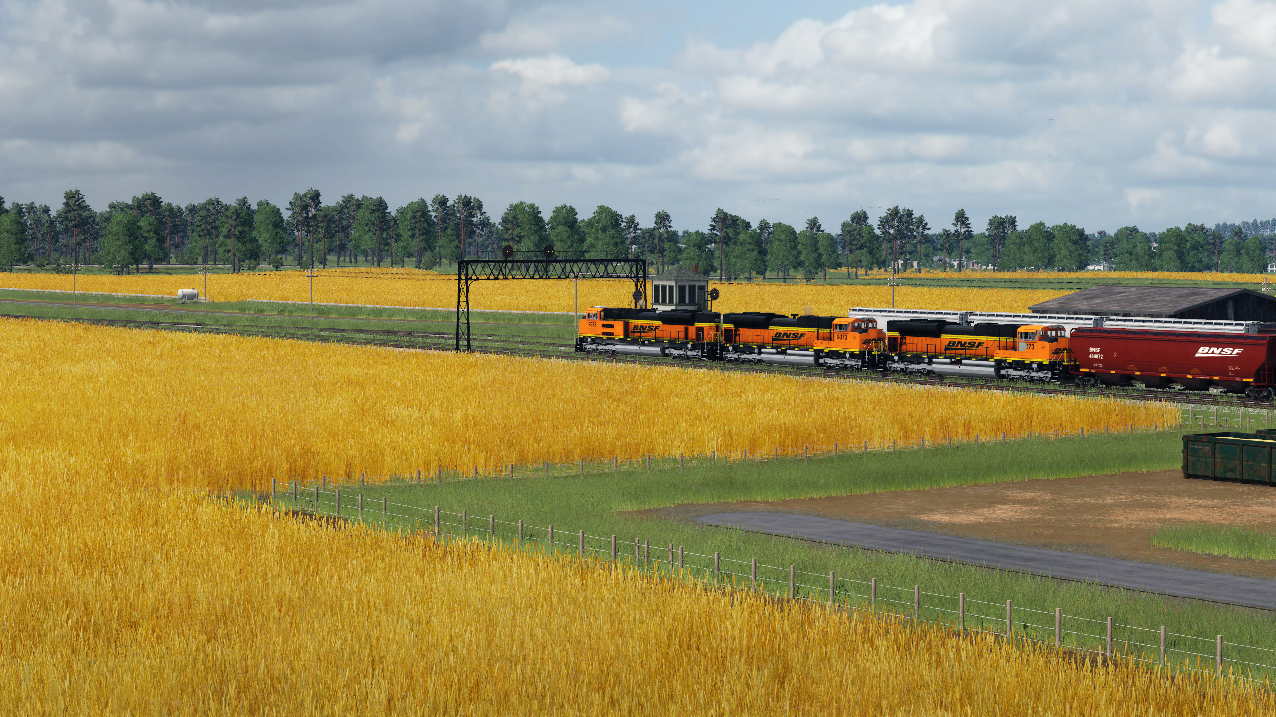 Waiting for grain