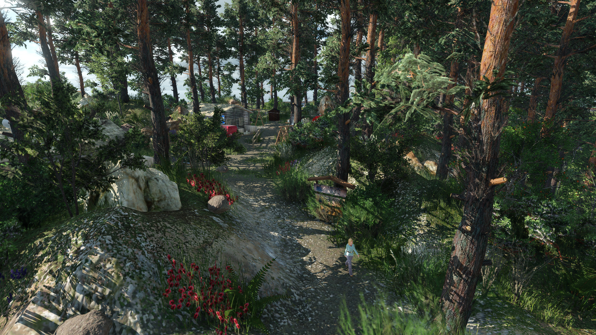 Das Camp im Wald
