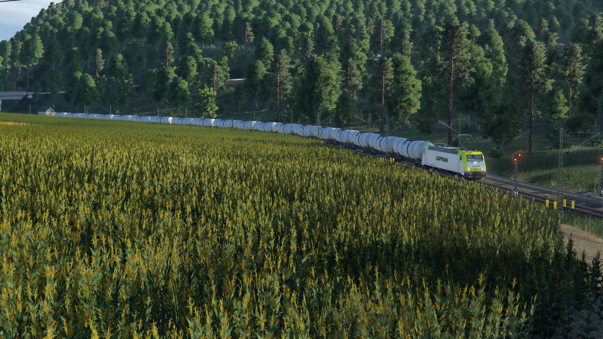 GZ 853 gen Hallenburg-Saalze