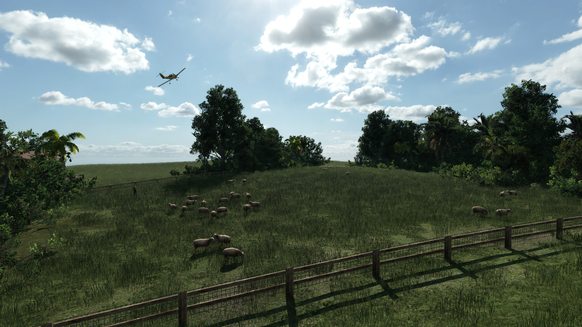 Im Anflug