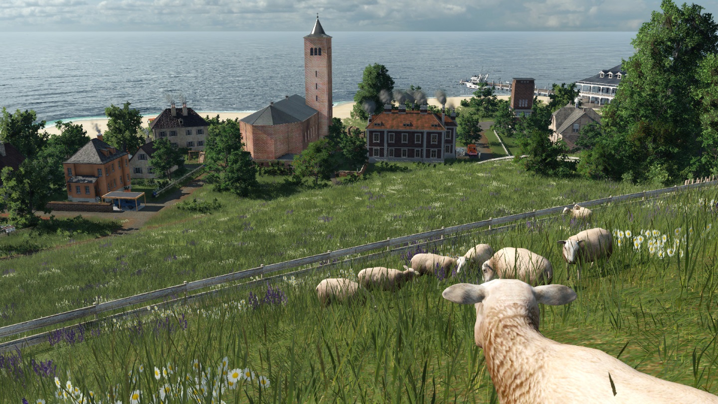 Die Schafe blicken auf das Dorf