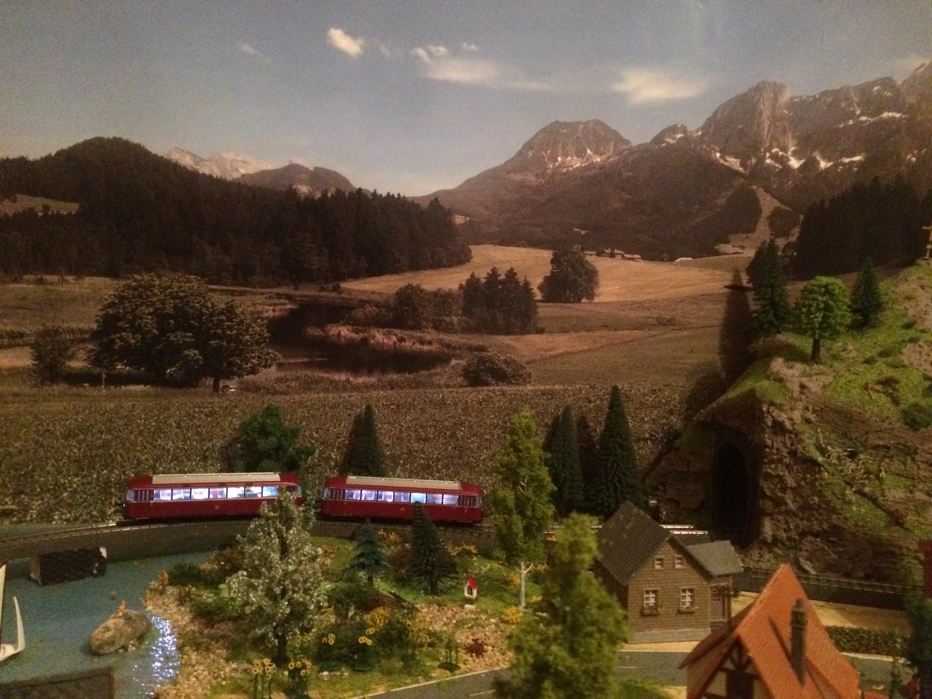 Schienenbus auf meiner Modellbahn