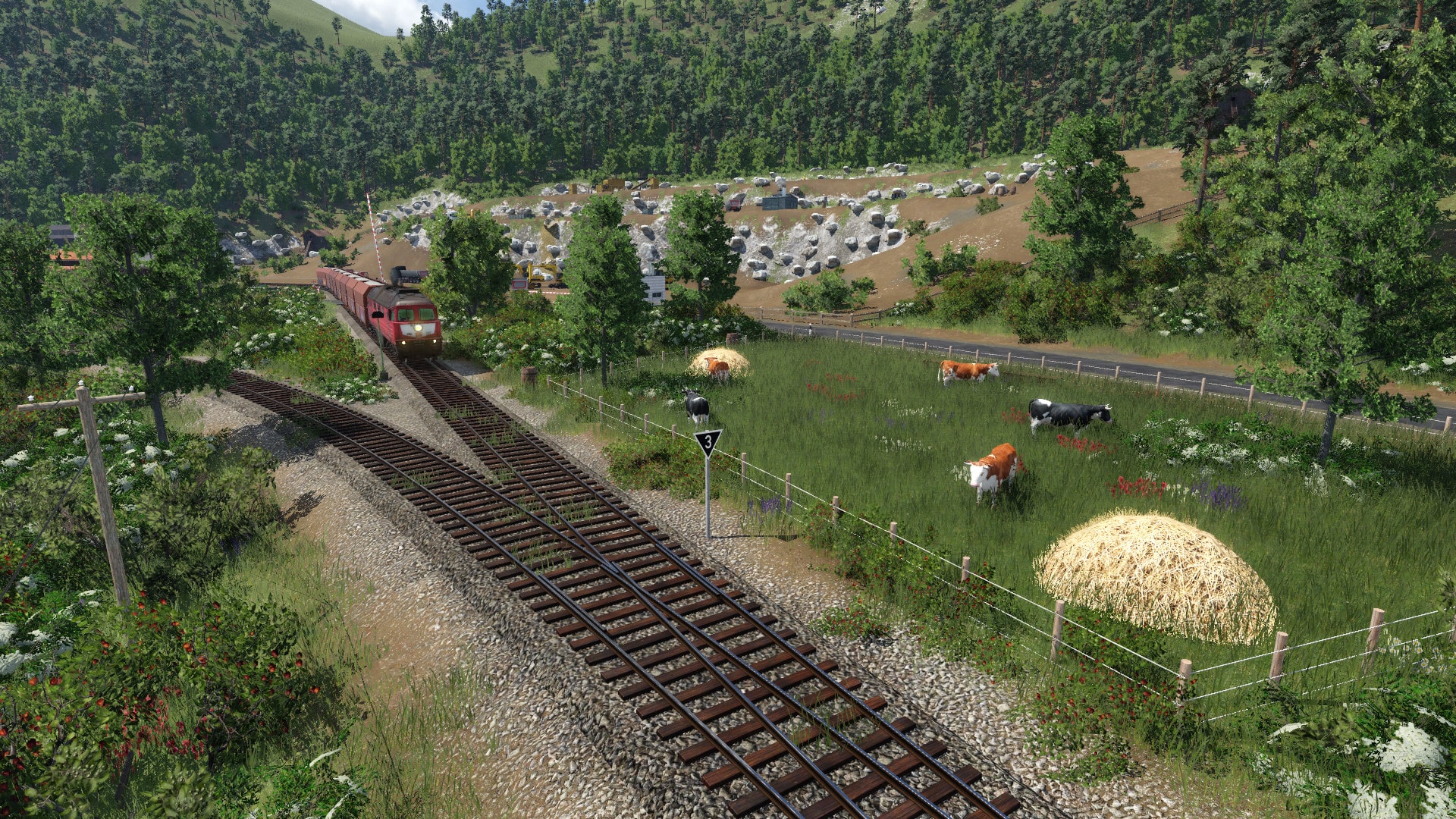 BR 232 wartet auf Ausfahrt