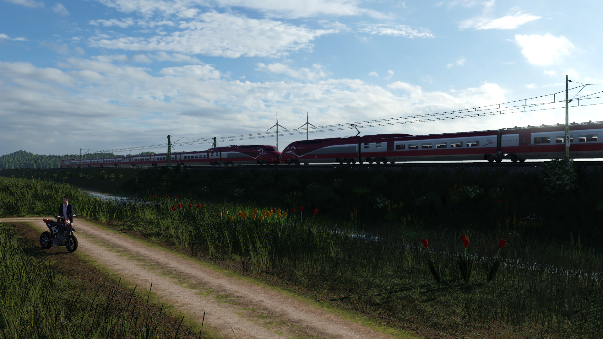 Thalys am Morgen