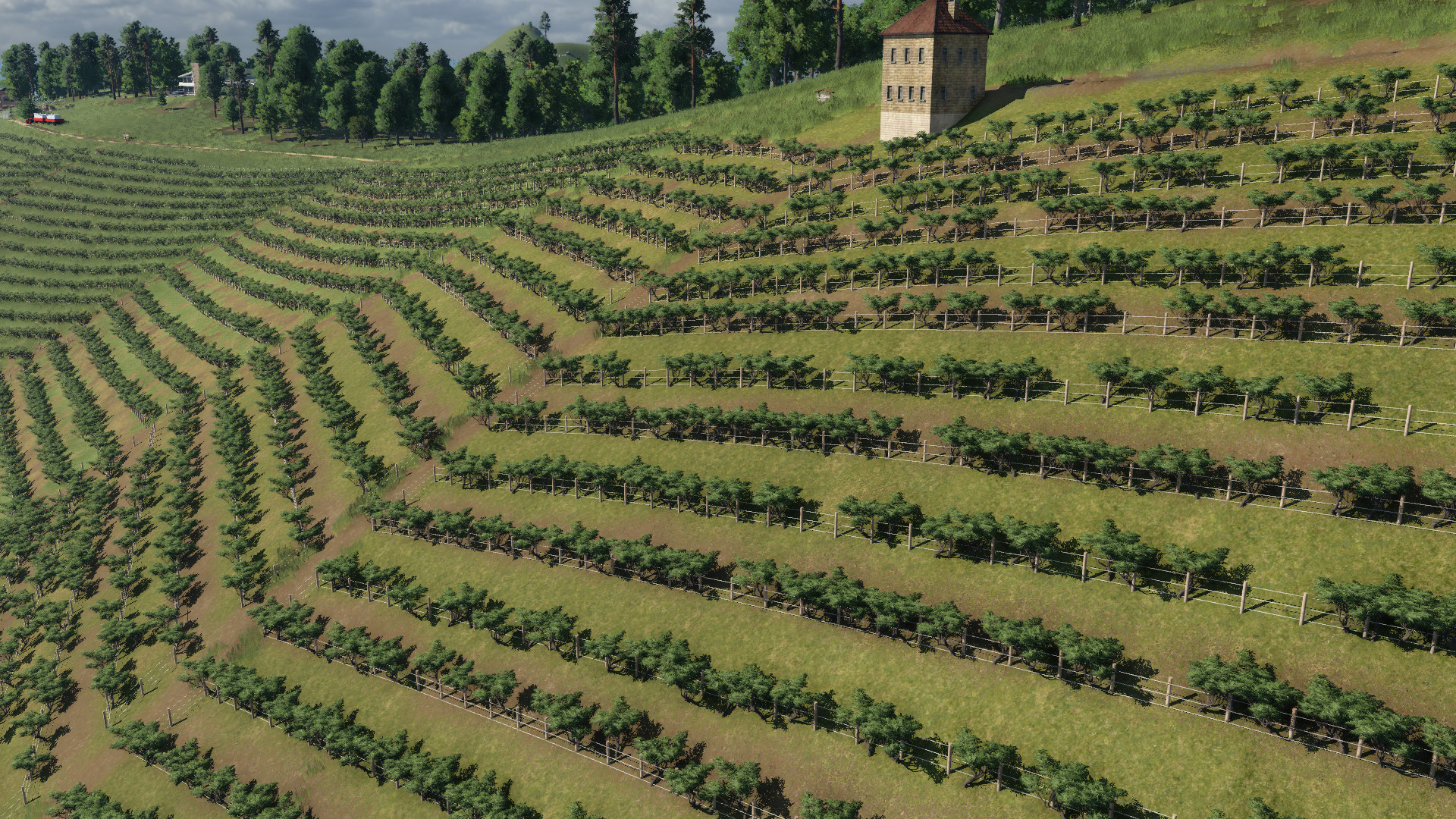 Weinberge