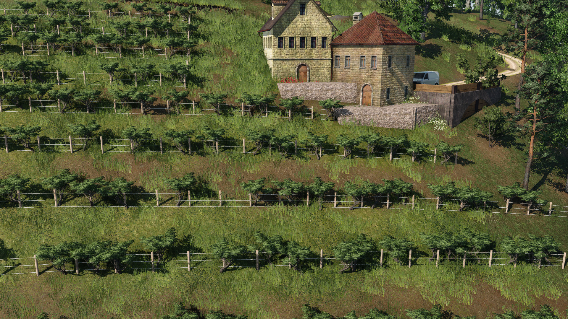 Weinberge
