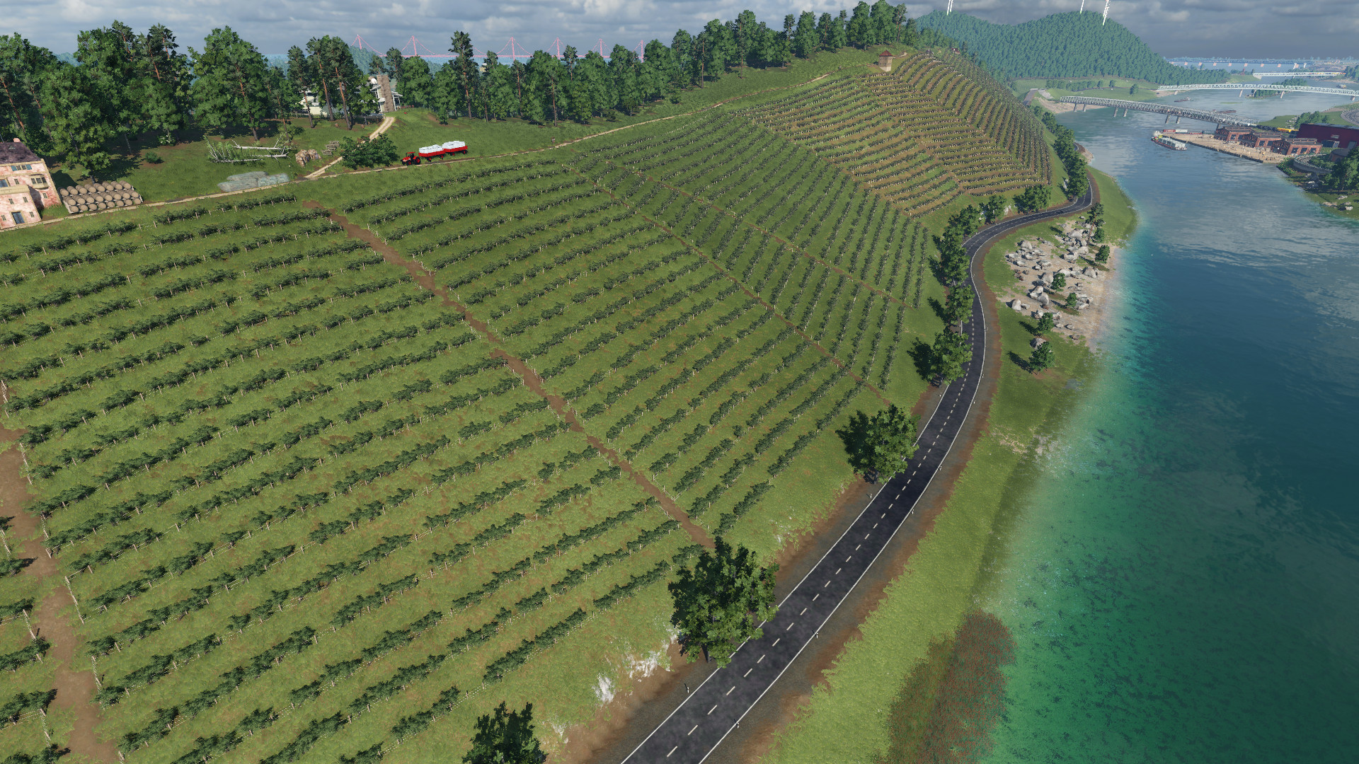 Weinberge