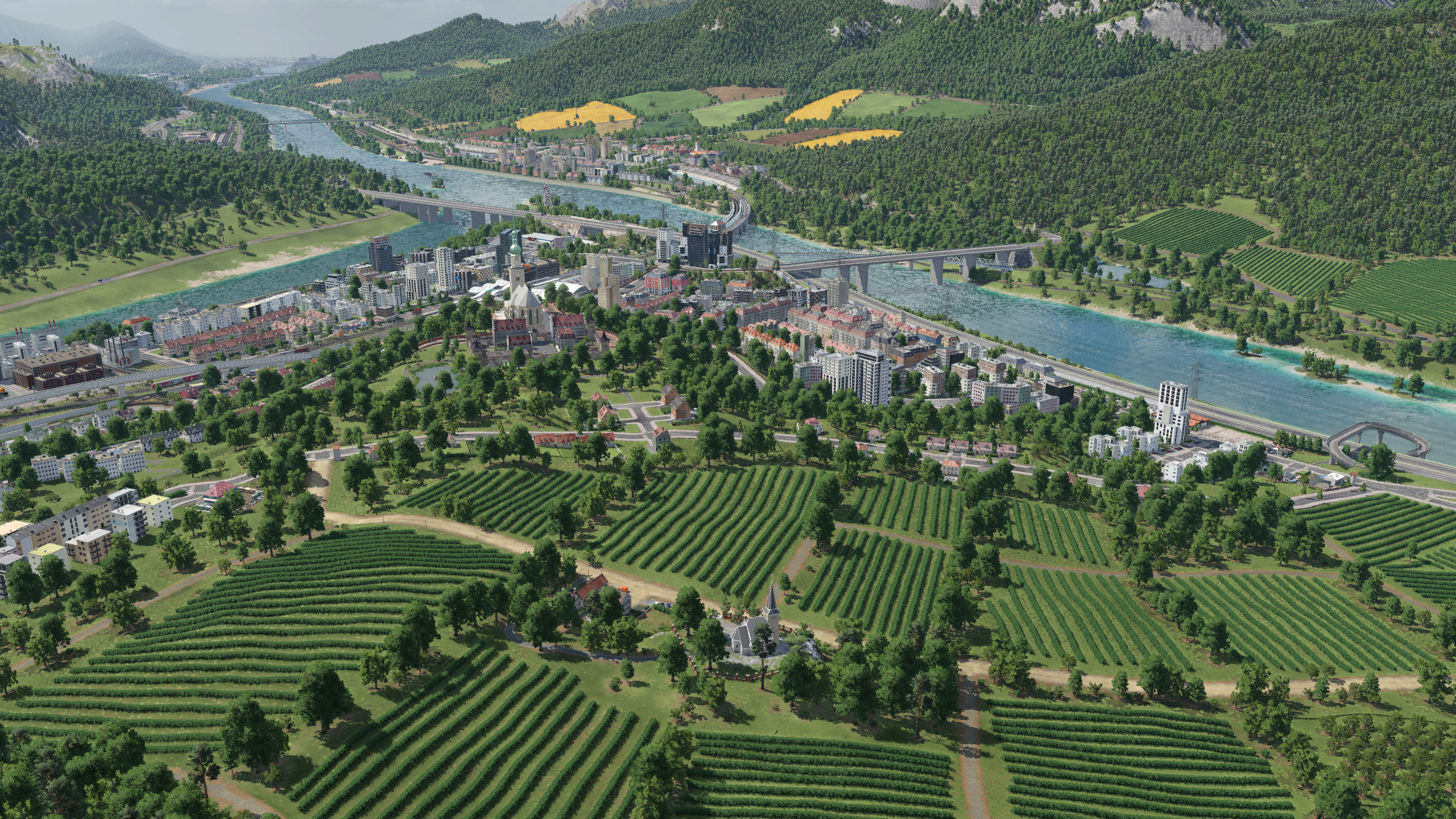 Blick über die Weinberge von Kirchberg