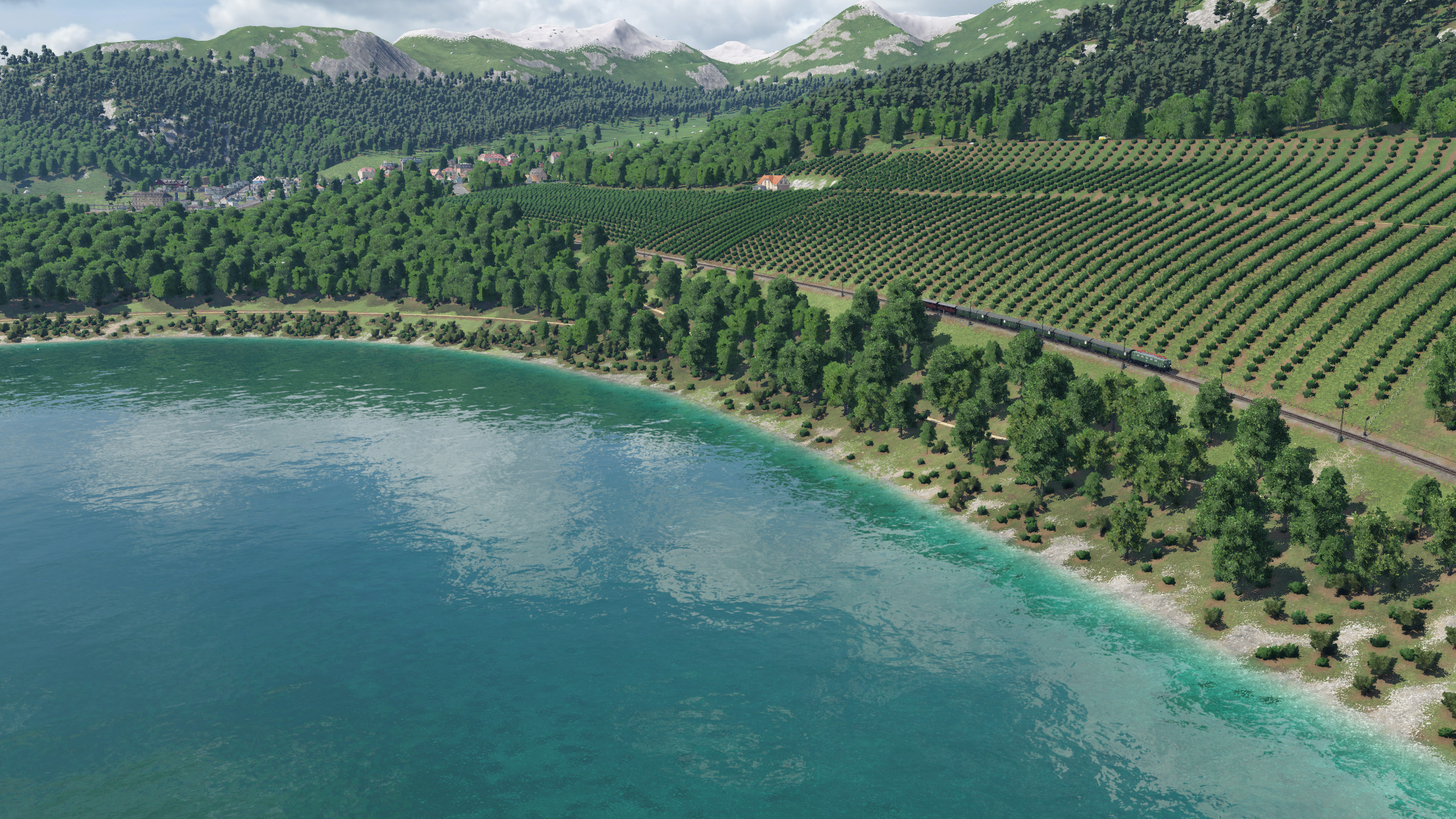 Weinberge