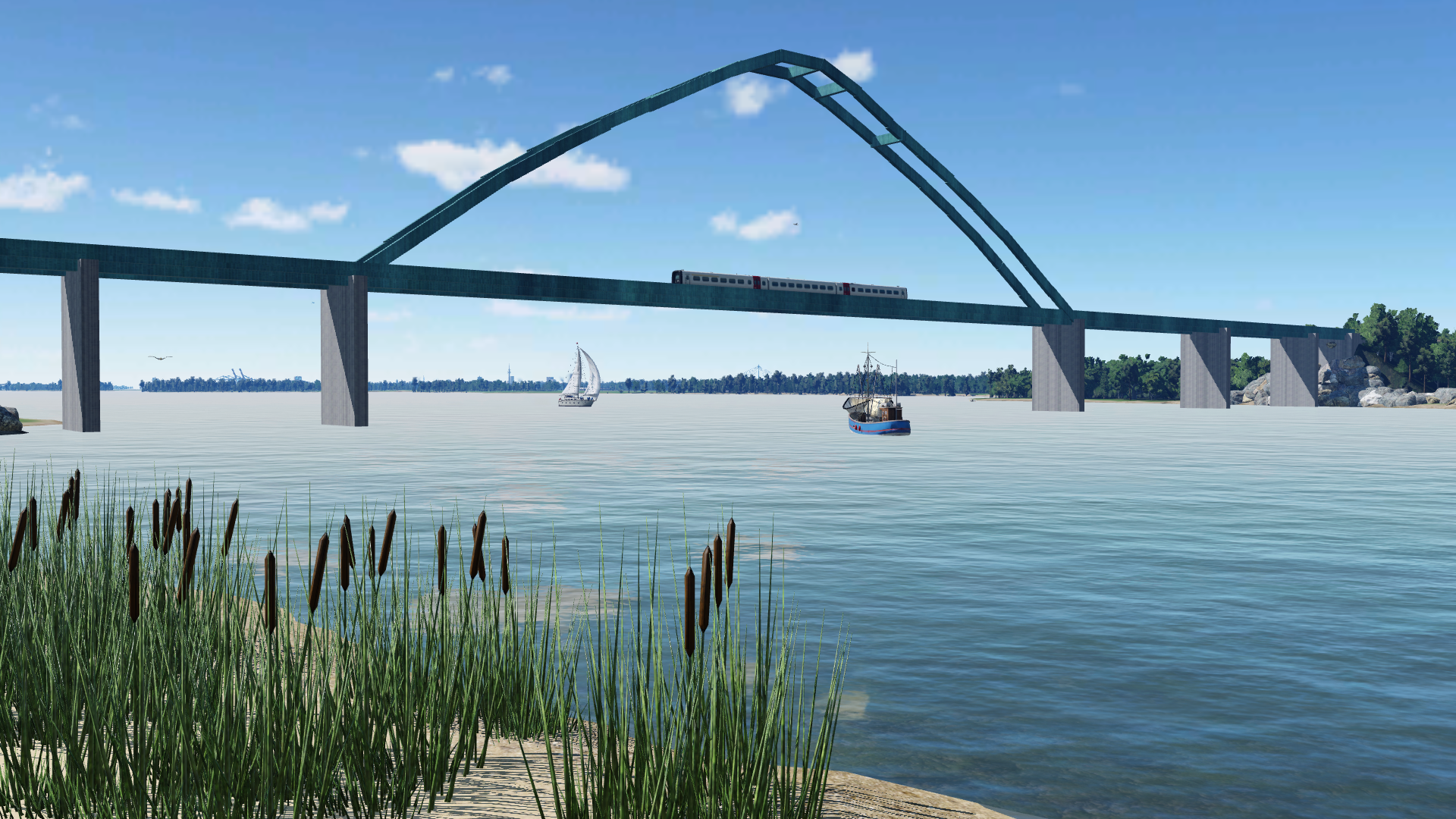 Die Fische auf ihrem letzten "Water Transport"