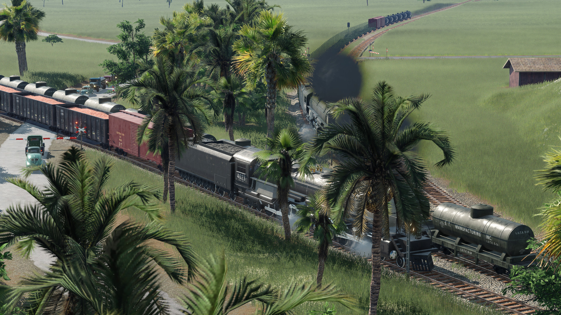 Palm trees and steam locomotives