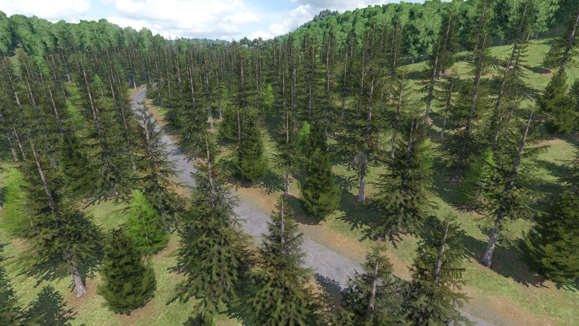 Spacky_Trees  conifers