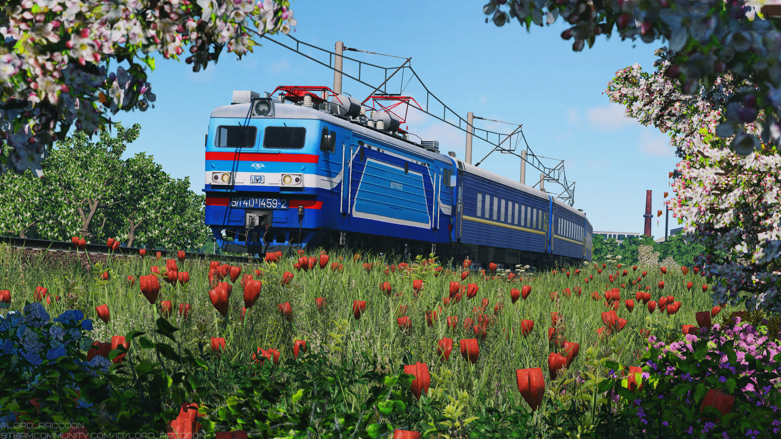 [TpF1] Trainspotting VL40U in the flowerfield