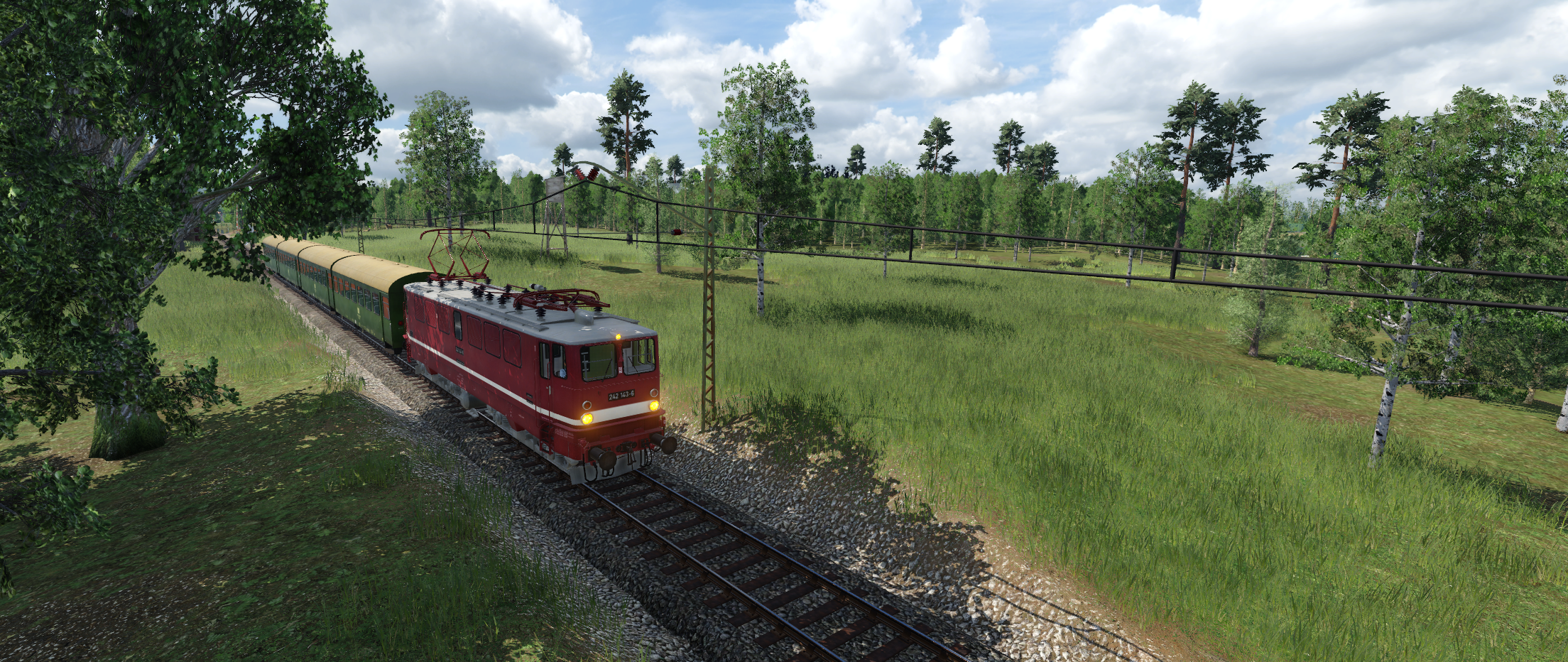 242 143 beim Waldspaziergang